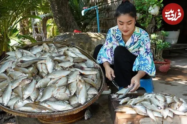 ببینید| غذای روستایی در کامبوج؛ پخت 4 مدل غذا با ماهی آب شیرین