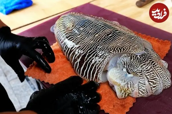 ببینید| غذای خیابانی در ویتنام؛ برش و پخت غذاهای سنتی با ماهی مرکب در هانوی