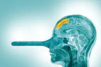 دروغ‌های مصلحتی چه بلایی بر سر ما می‌آورند؟