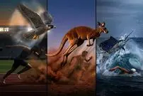 تصاویر| انسان در برابر طبیعت؛ چرا قهرمانان المپیک در برابر حیوانات معمولی شانسی ندارند؟