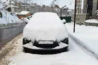 (عکس) آغاز بارش برف در ایران؛ شدت بارش برف را ببینید
