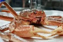 ببینید| غذای خیابانی در کره؛ پخت دو نوع غذا با خرچنگ برفی غول پیکر در سئول