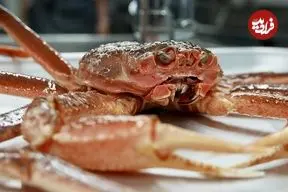 ببینید| غذای خیابانی در کره؛ پخت دو نوع غذا با خرچنگ برفی غول پیکر در سئول