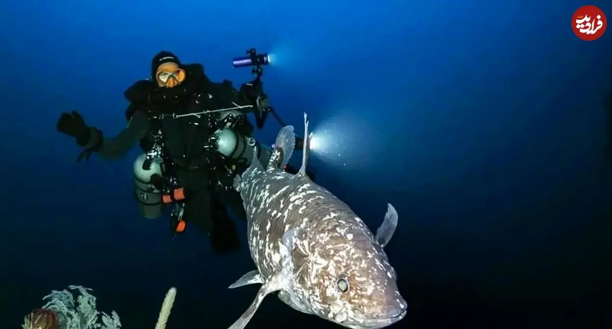 عکس| بازمانده دایناسورها زنده شکار شد!