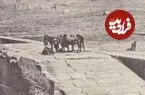 عکس| سفر زمان؛ استراحت «اسب‌ها» بالای پله‌های تخت جمشید؛ بیش از یک قرن قبل