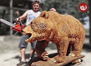 ببینید| مراحل دیدنی ساخت مجسمه خرس گریزلی چوبی در اندازه واقعی با اره برقی 