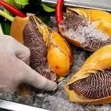 ببینید| غذای خیابانی در تایلند؛ تهیه سالاد با حلزون غول پیکر در بانکوک