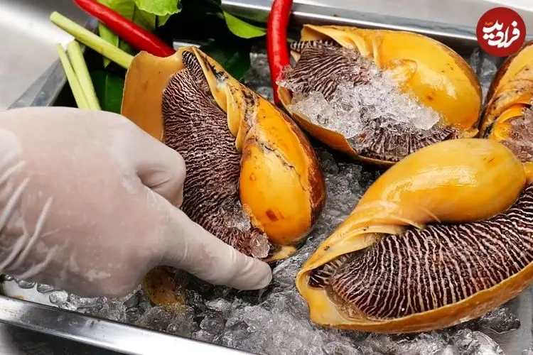 ببینید| غذای خیابانی در تایلند؛ تهیه سالاد با حلزون غول پیکر در بانکوک