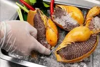 ببینید| غذای خیابانی در تایلند؛ تهیه سالاد با حلزون غول پیکر در بانکوک