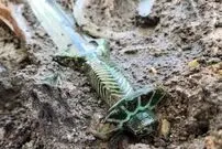 (عکس) ساخت آلمان، شمشیری که پس از ۳ هزار سال سالم مانده