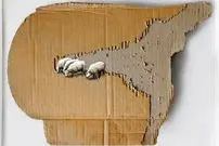 آثار خلاقانۀ هنرمند ایرانی روی بوم‌های غیرمنتظره؛ از مقوا تا اسکاچ 