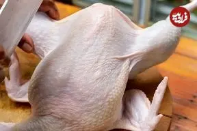 ببینید| غذای خیابانی در تایلند؛ بریانی مرغ در بانکوک