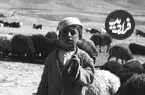 عکس| سفر زمان؛ «دو پسر چوپان» در حال گوسفندچرانی در اطراف فیروزکوه؛ 92 سال قبل