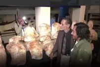 (ویدئو) کشف فسیل سنگین‌ترین حیوان تاریخ