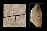 ۵ تمرین قدرتی عالی برای کاهش وزن زنان
