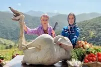 ببینید| غذای روستایی در ایران؛ پخت غذابا گوشت شتر مرغ در کوهستان