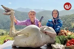 ببینید| غذای روستایی در ایران؛ پخت غذابا گوشت شتر مرغ در کوهستان