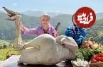 ببینید| غذای روستایی در ایران؛ پخت غذابا گوشت شتر مرغ در کوهستان