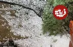 ببینید| تگرگ آنکارا را سفیدپوش کرد