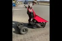(ویدئو) نسل جدید فرغون در انگلیس؛ شما هم غافلگیر می شوید!