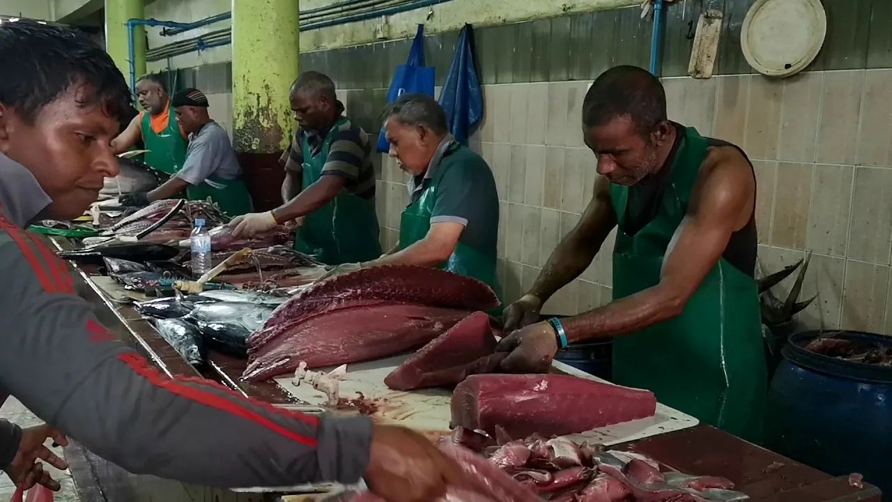 (ویدئو) برش زدن خارق العاده ماهی تن های غول پیکر در بازار مالدیو