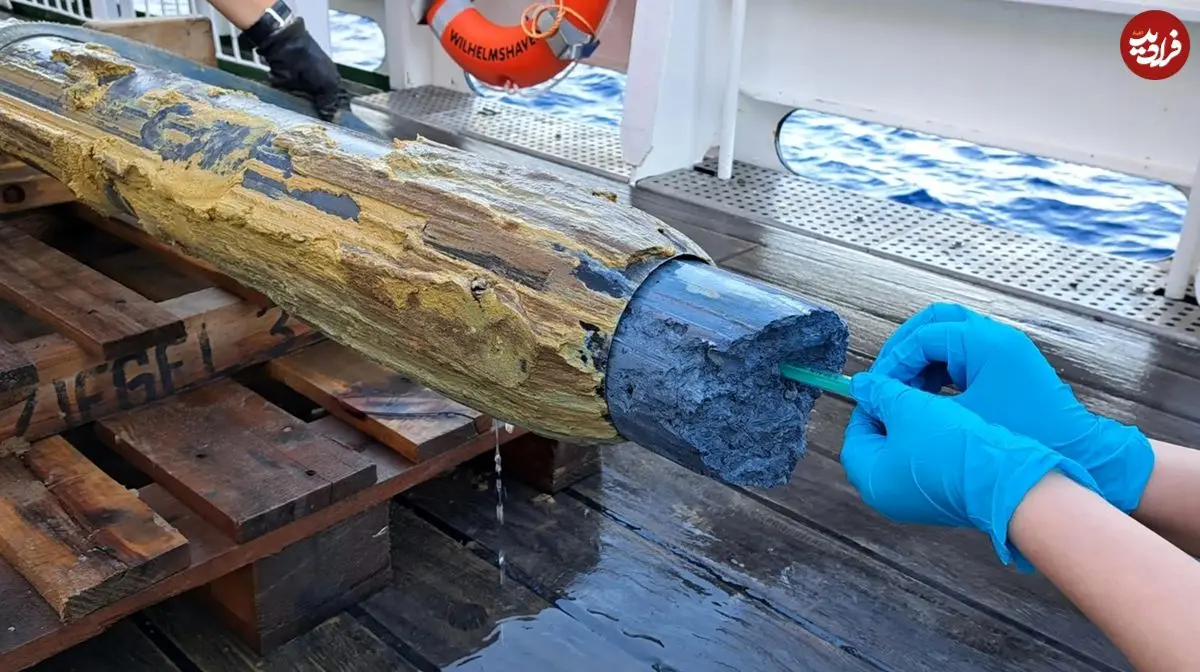 زندگی در یک مکان غیرممکن؛ میکروب‌هایی که در آتشفشان‌های زیر دریا زندگی می‌کنند