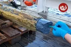 زندگی در یک مکان غیرممکن؛ میکروب‌هایی که در آتشفشان‌های زیر دریا زندگی می‌کنند