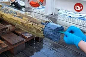 زندگی در یک مکان غیرممکن؛ میکروب‌هایی که در آتشفشان‌های زیر دریا زندگی می‌کنند