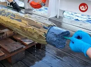 زندگی در یک مکان غیرممکن؛ میکروب‌هایی که در آتشفشان‌های زیر دریا زندگی می‌کنند