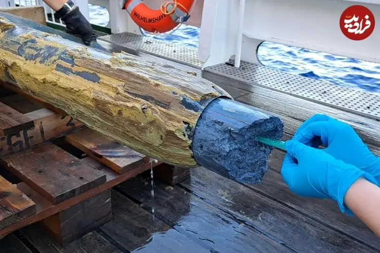 زندگی در یک مکان غیرممکن؛ میکروب‌هایی که در آتشفشان‌های زیر دریا زندگی می‌کنند