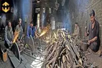 ببینید| فرآیند تولید انبوه قیچی خیاطی در کارگاهی در پاکستان