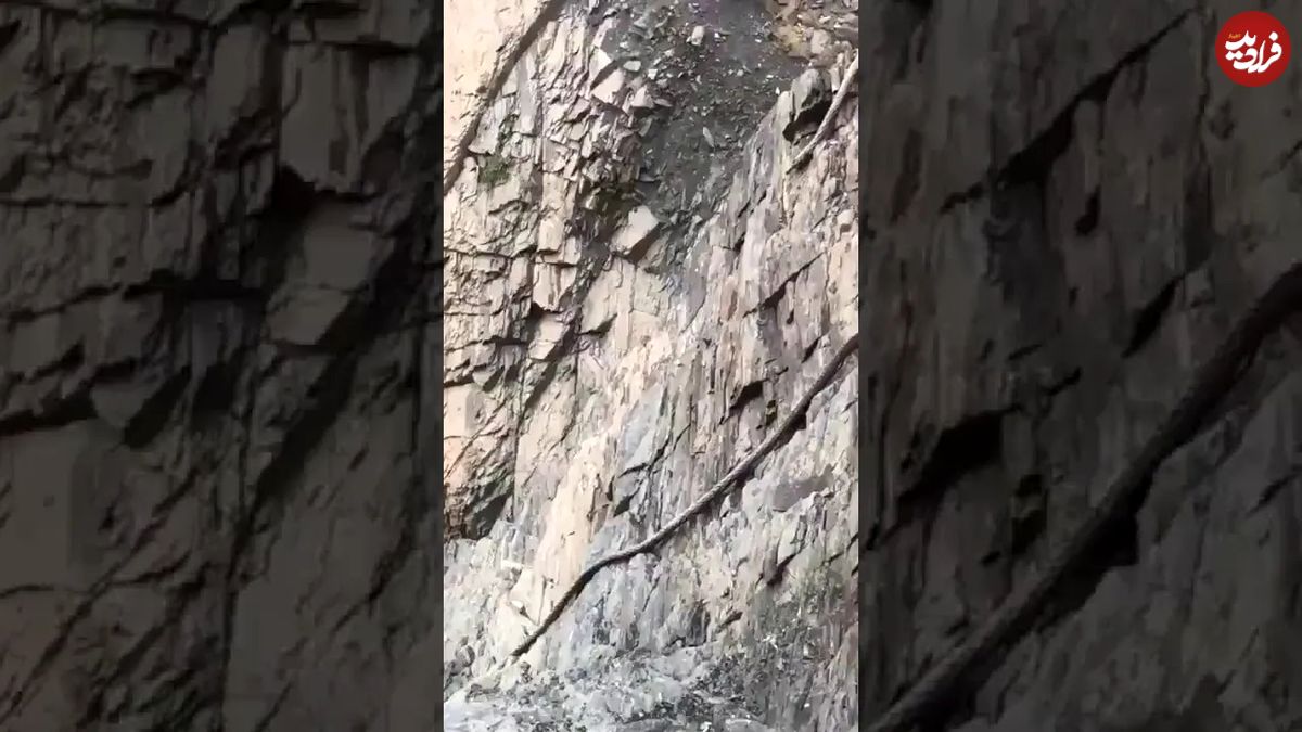 (ویدئو) کشف یک مار عجیب و بزرگ در کوه های عسیر جنوب غربی عربستان