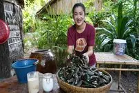 ببینید| غذای روستایی در چین؛ پخت یک غذای سنتی با صدف دریایی و سیرابی گاو