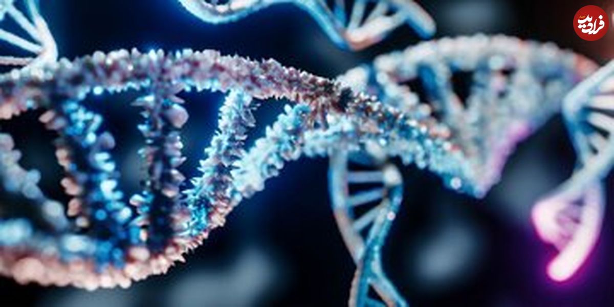 کشف دانشمندان: صدها ژن که در مغز مردان و زنان متفاوت عمل می‌کنند