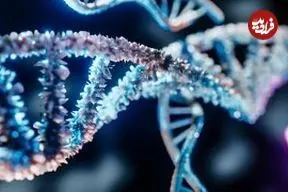 کشف دانشمندان: صدها ژن که در مغز مردان و زنان متفاوت عمل می‌کنند