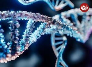 کشف دانشمندان: صدها ژن که در مغز مردان و زنان متفاوت عمل می‌کنند