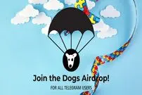 ایردراپ رایگان DOGS در تلگرام؛ هرآنچه باید بدانید