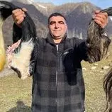 ببینید| غذای روستایی در آذربایجان؛ پخت دم گاو در دیگ سفالی و روی آتش