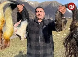 ببینید| غذای روستایی در آذربایجان؛ پخت دم گاو در دیگ سفالی و روی آتش