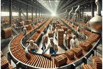 (ویدئو) فرآیند تماشایی تولید دارچین در سریلانکا