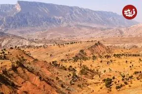 چرا هلال حاصلخیز خاستگاه تمدن بشر شد؟ پاسخ در غارهای زاگرس نهفته است