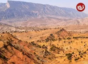 چرا هلال حاصلخیز خاستگاه تمدن بشر شد؟ پاسخ در غارهای زاگرس نهفته است