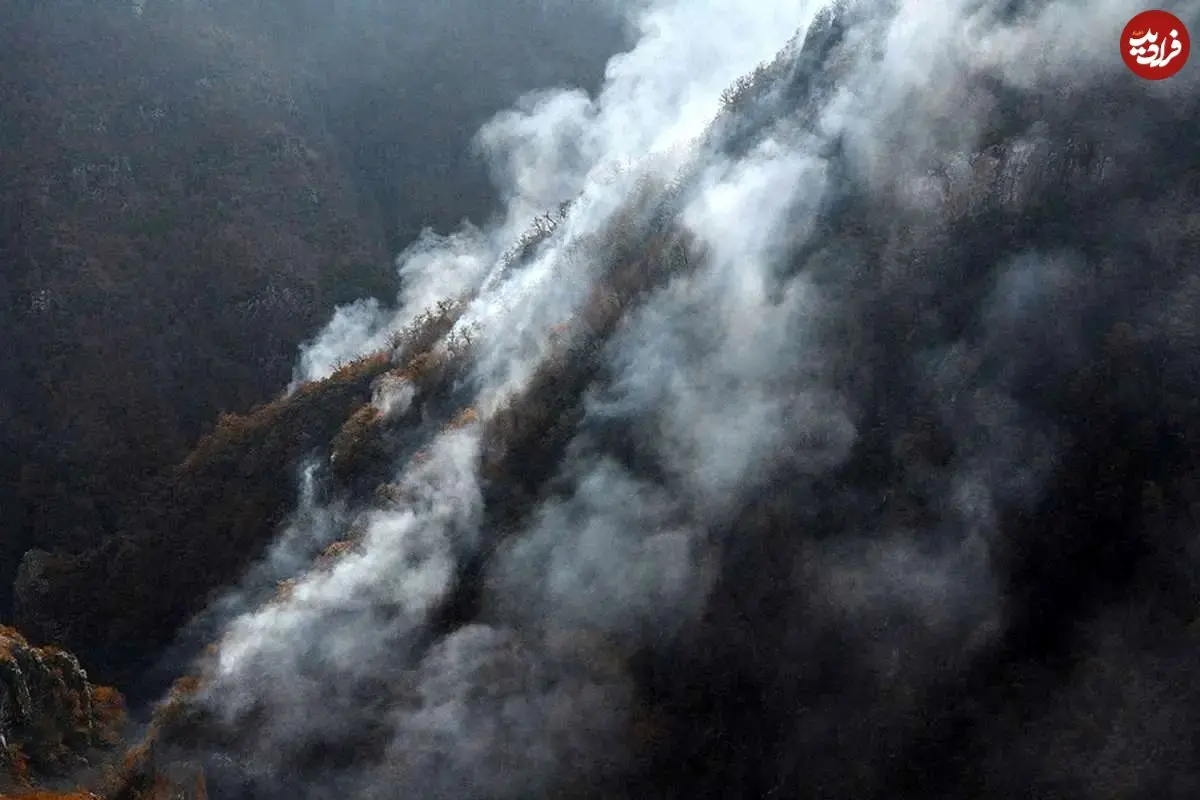 واکنش منابع طبیعی به آتش‌سوزی در جنگل‌های الیت چالوس: به واسطه فعال شدن توده باد، حریق به صورت لکه‌ای گسترش پیدا کرده