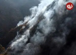 واکنش منابع طبیعی به آتش‌سوزی در جنگل‌های الیت چالوس: به واسطه فعال شدن توده باد، حریق به صورت لکه‌ای گسترش پیدا کرده