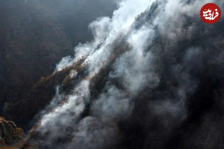 واکنش منابع طبیعی به آتش‌سوزی در جنگل‌های الیت چالوس: به واسطه فعال شدن توده باد، حریق به صورت لکه‌ای گسترش پیدا کرده