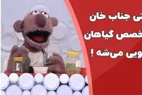 (ویدئو) سکانس خنده دار مجموعه خندوانه: جناب خان متخصص گیاهان دارویی می‌شود