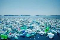 (ویدئو) جنایتی به نام بطری پلاستیکی!
