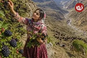 ببینید| غذای روستایی در ایران؛ برداشت شاه توت از جنگل و تهیه کیک و شربت با آن