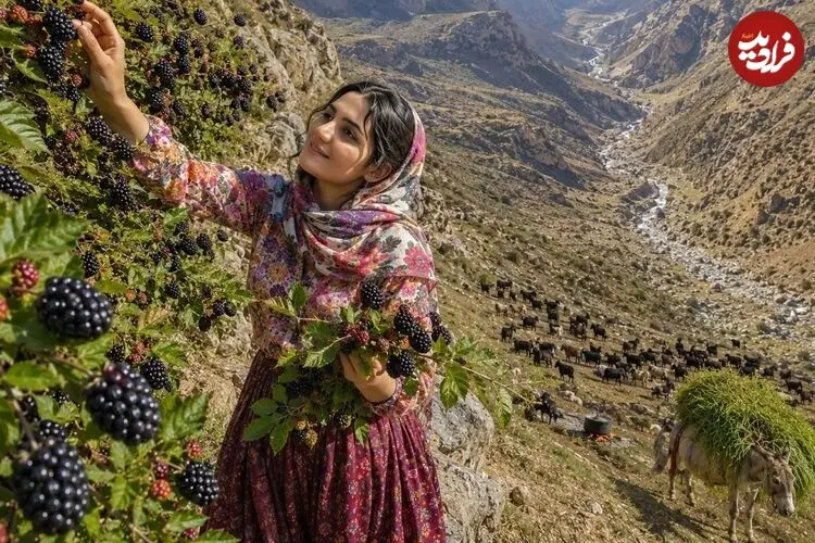 ببینید| غذای روستایی در ایران؛ برداشت شاه توت از جنگل و تهیه کیک و شربت با آن