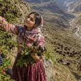ببینید| غذای روستایی در ایران؛ برداشت شاه توت از جنگل و تهیه کیک و شربت با آن